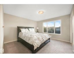 1621 Davidson Green Gr Sw, Edmonton, AB T6W3H9 Photo 27