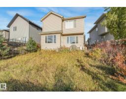 1621 Davidson Green Gr Sw, Edmonton, AB T6W3H9 Photo 40