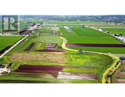 241 Devald Road, Bradford West Gwillimbury, ON L3Z2A6 Photo 10
