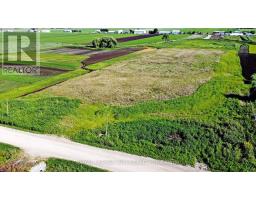 241 Devald Road, Bradford West Gwillimbury, ON L3Z2A6 Photo 23