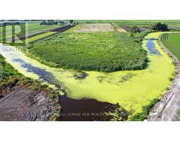 241 Devald Road, Bradford West Gwillimbury, ON L3Z2A6 Photo 27