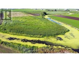 241 Devald Road, Bradford West Gwillimbury, ON L3Z2A6 Photo 28