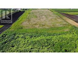 241 Devald Road, Bradford West Gwillimbury, ON L3Z2A6 Photo 30
