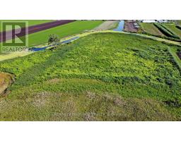 241 Devald Road, Bradford West Gwillimbury, ON L3Z2A6 Photo 31