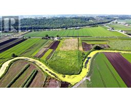 241 Devald Road, Bradford West Gwillimbury, ON L3Z2A6 Photo 7