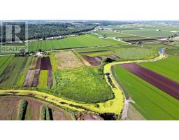241 Devald Road, Bradford West Gwillimbury, ON L3Z2A6 Photo 8