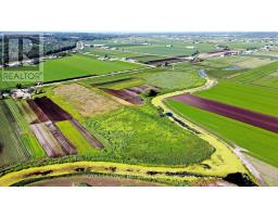 241 Devald Road, Bradford West Gwillimbury, ON L3Z2A6 Photo 9