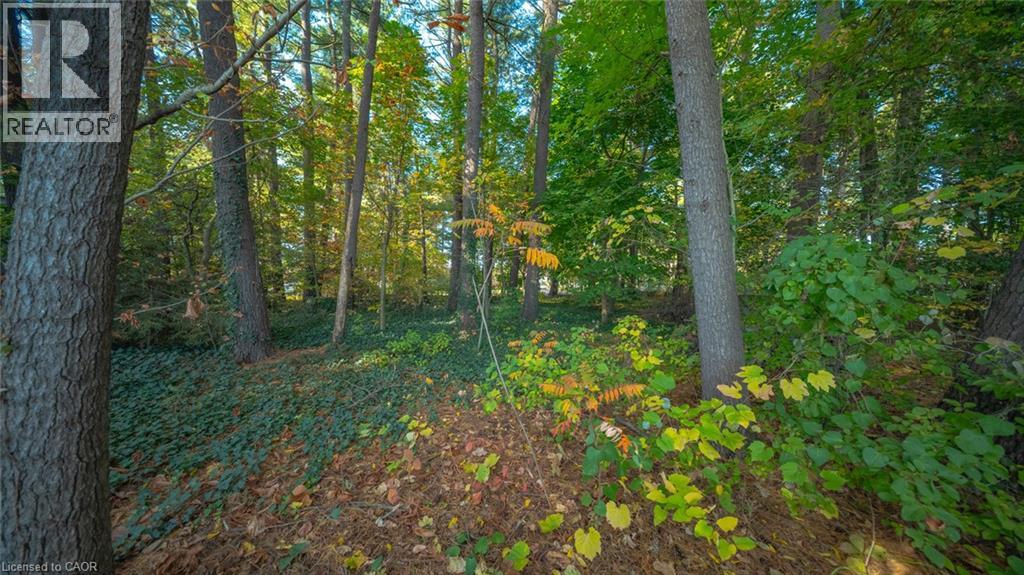 643 Gage Street — photo 4