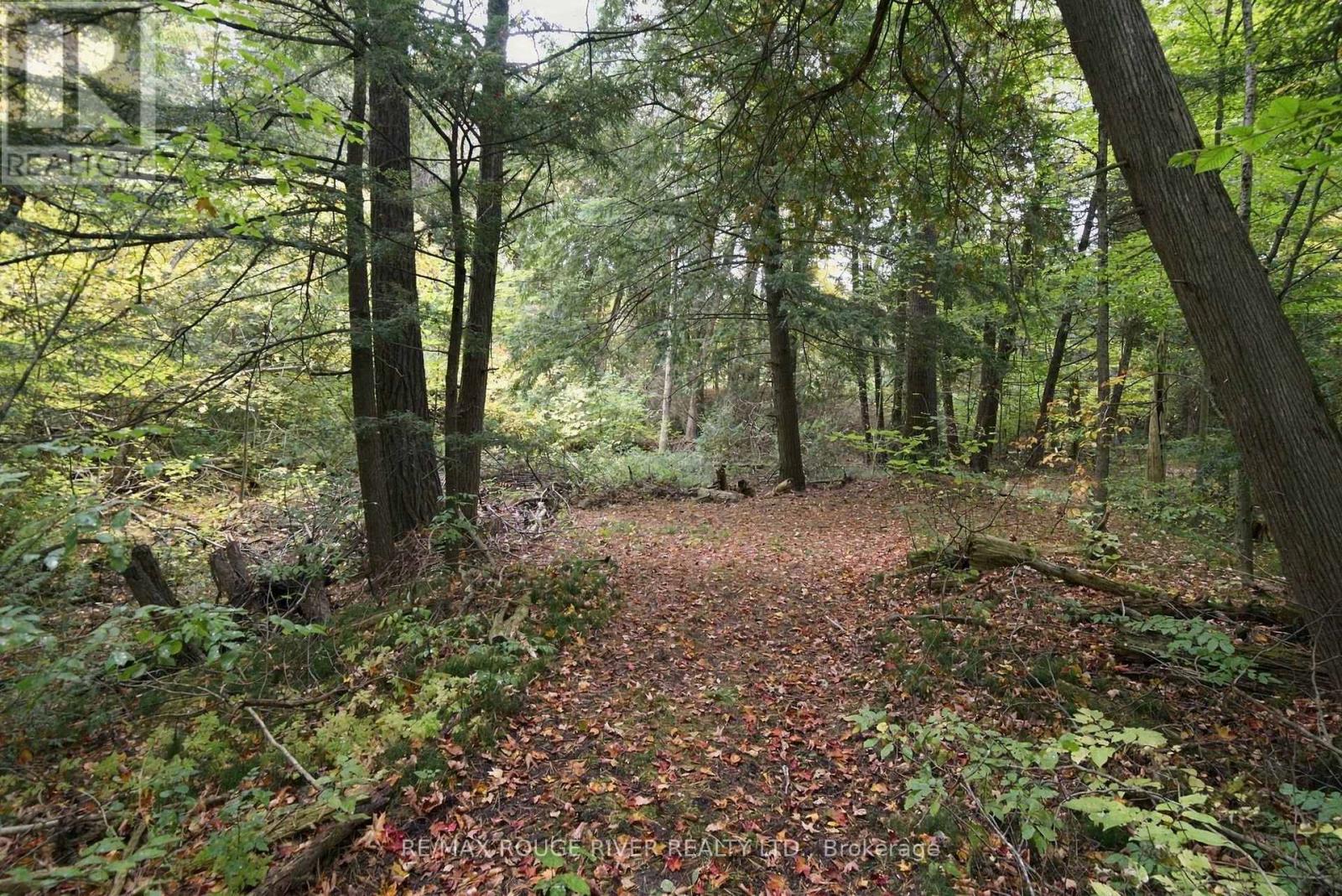 13643 LITTLE LAKE ROAD - 41