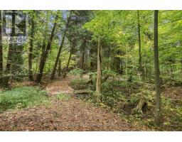 13643 Little Lake Road, Cramahe, ON K0K1S0 Photo 38