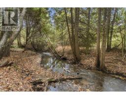 13643 Little Lake Road, Cramahe, ON K0K1S0 Photo 39