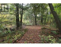 13643 Little Lake Road, Cramahe, ON K0K1S0 Photo 41