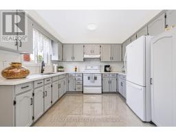 254 Maple Leaf Drive, Toronto, ON M6L1P1 Photo 30