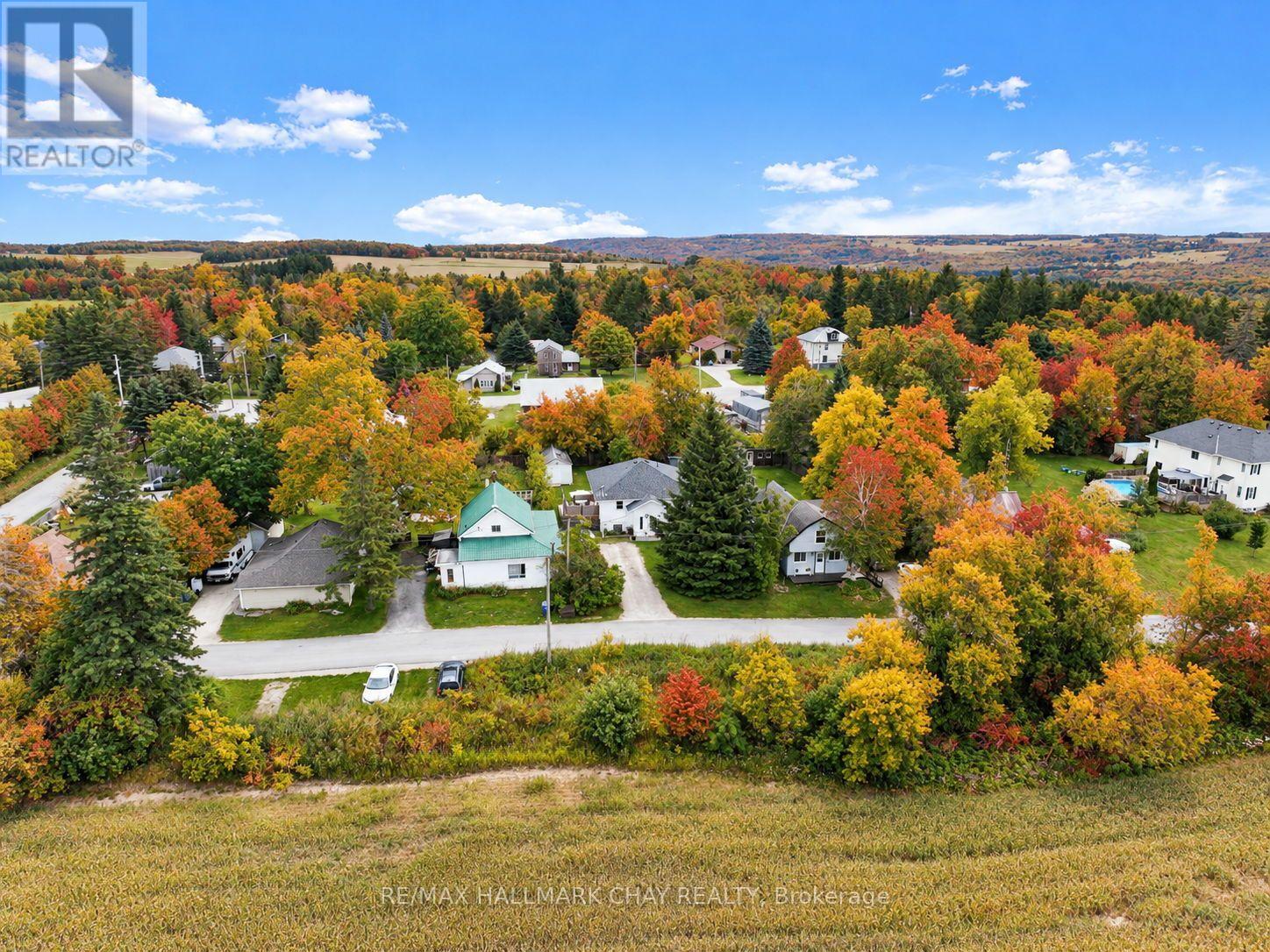 19 Addeson Street, Melancthon, ON photo 29