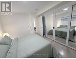 Lower - 173 Beatrice Street, Toronto, ON M6G3E9 Photo 7