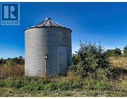 21225 County 46 Road, Lakeshore, ON N0P1J0 Photo 11