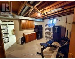 21225 County 46 Road, Lakeshore, ON N0P1J0 Photo 39