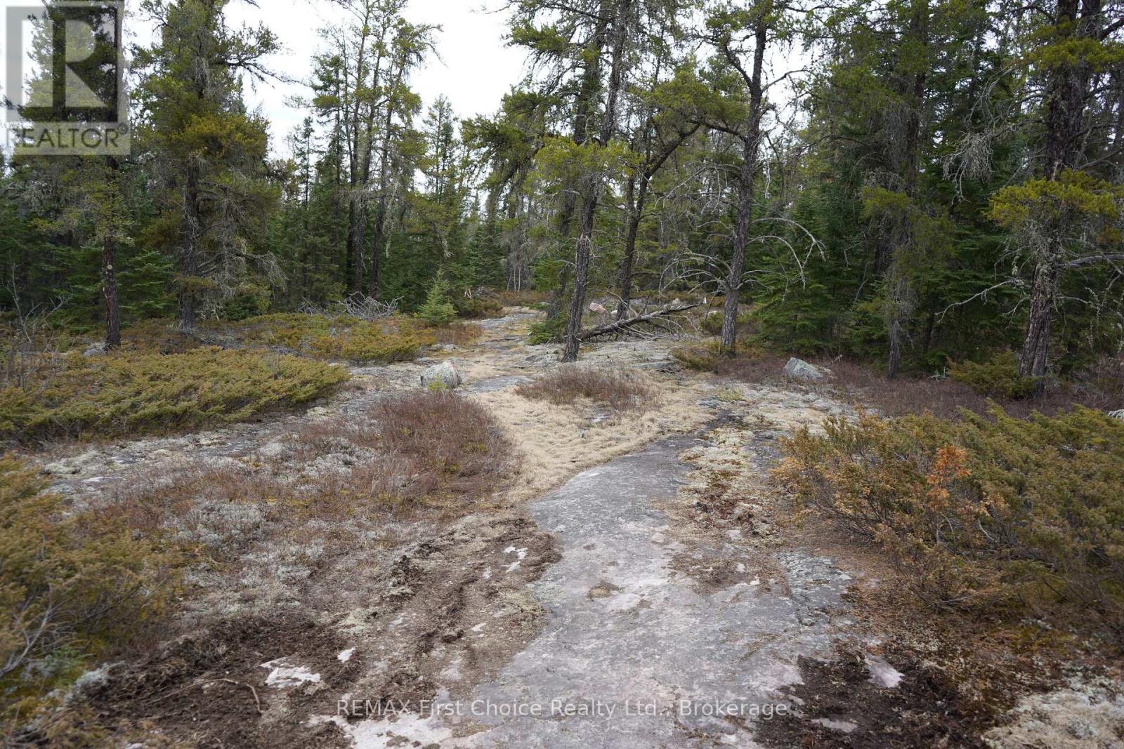 Lot 4 Gunn Lake Road — photo 25
