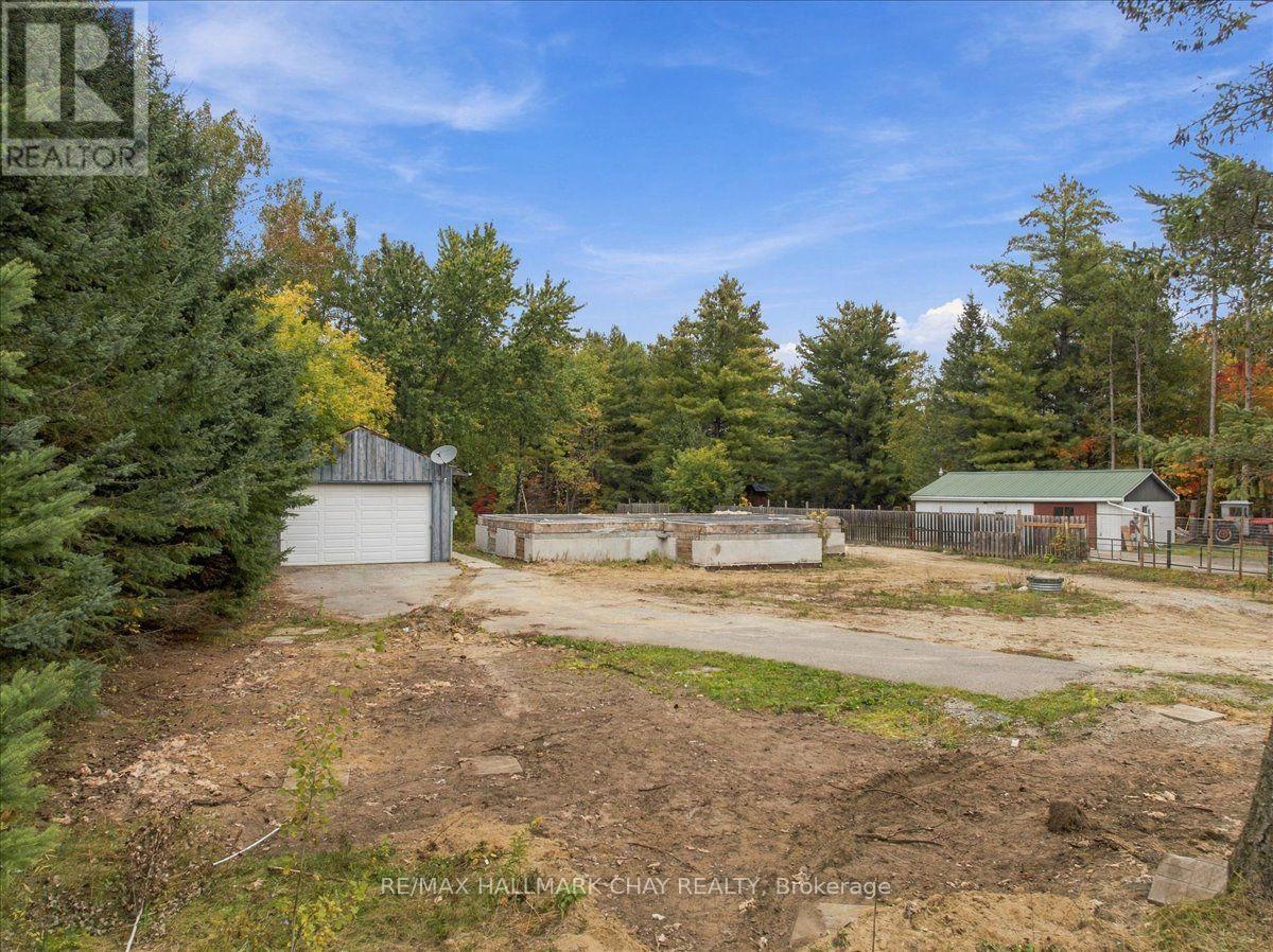 8240 Main Street, Adjala-Tosorontio, ON photo 18