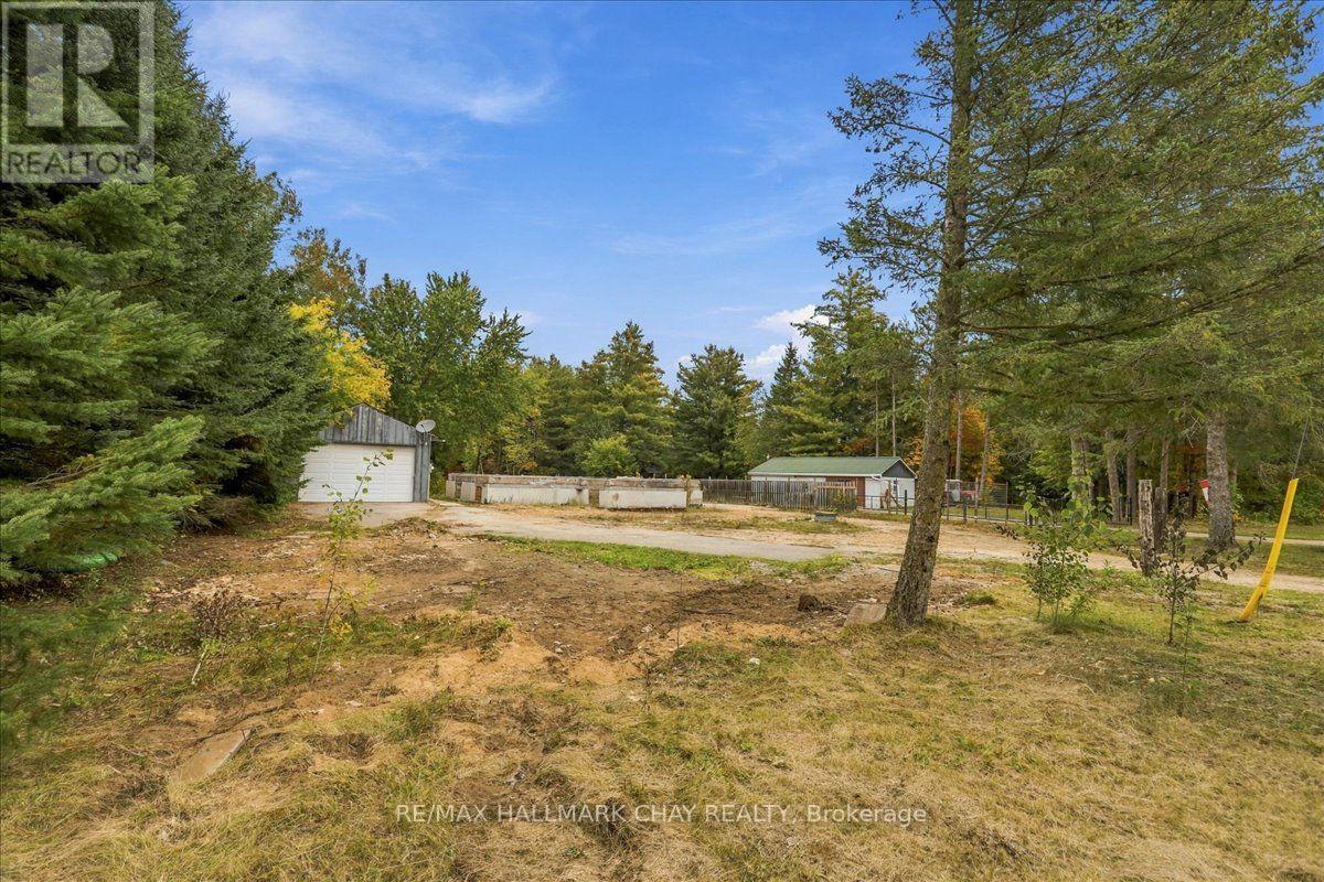 8240 Main Street, Adjala-Tosorontio, ON photo 21