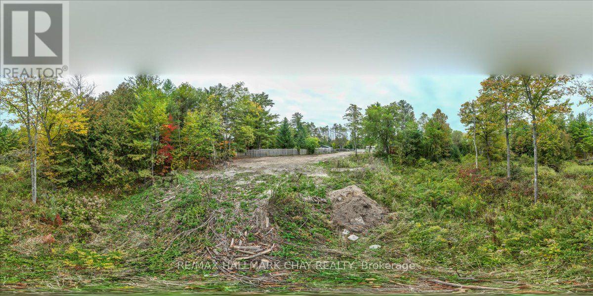 8240 Main Street, Adjala-Tosorontio, ON photo 30