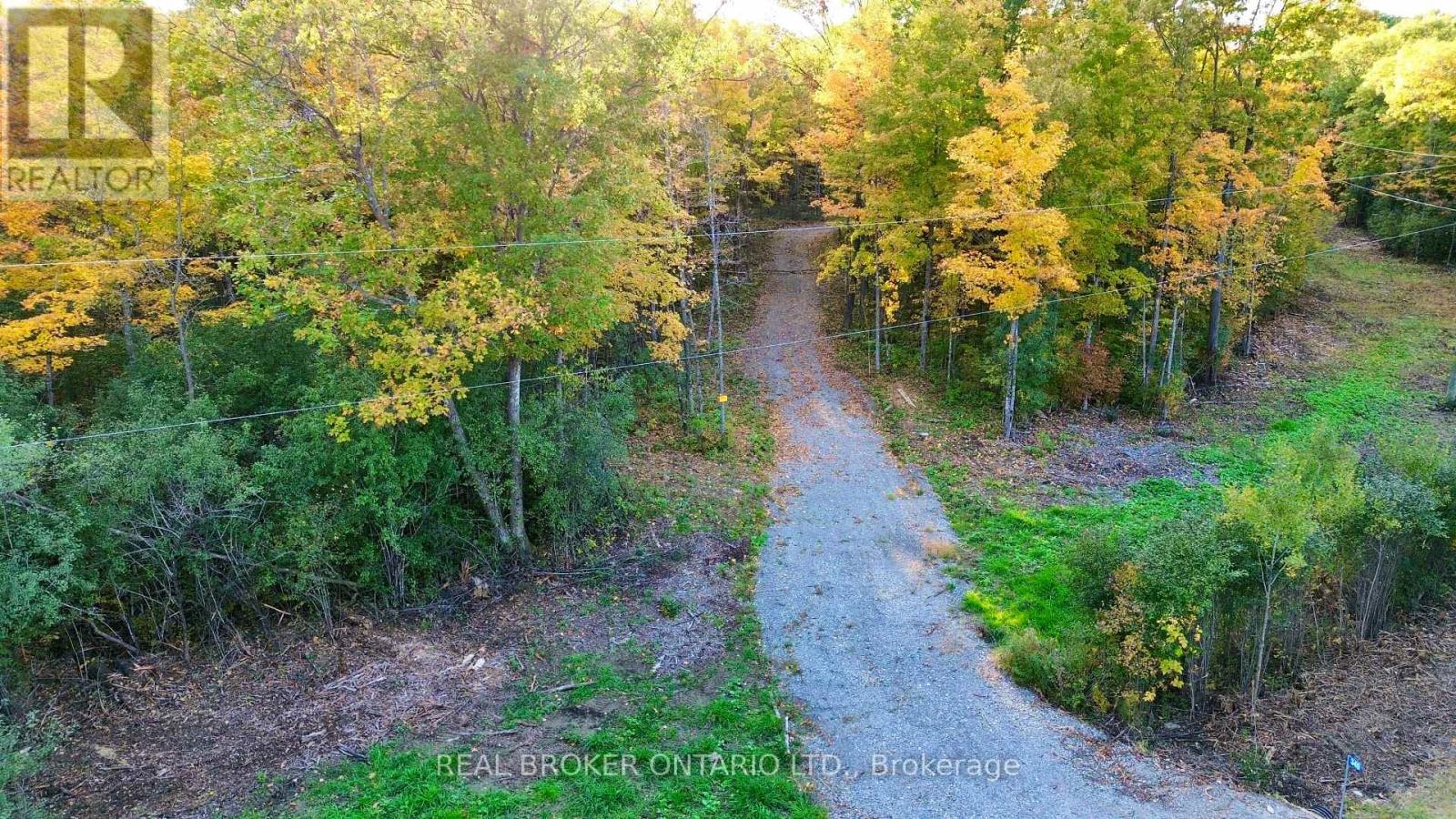 349 Burchill Road — photo 15