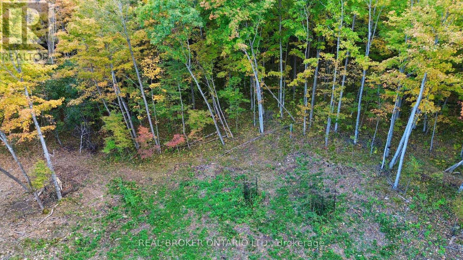349 Burchill Road — photo 11