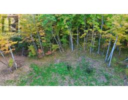 349 Burchill Road, Montague, ON K0G1N0 Photo 11