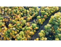 349 Burchill Road, Montague, ON K0G1N0 Photo 18