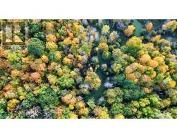 349 Burchill Road, Montague, ON K0G1N0 Photo 12