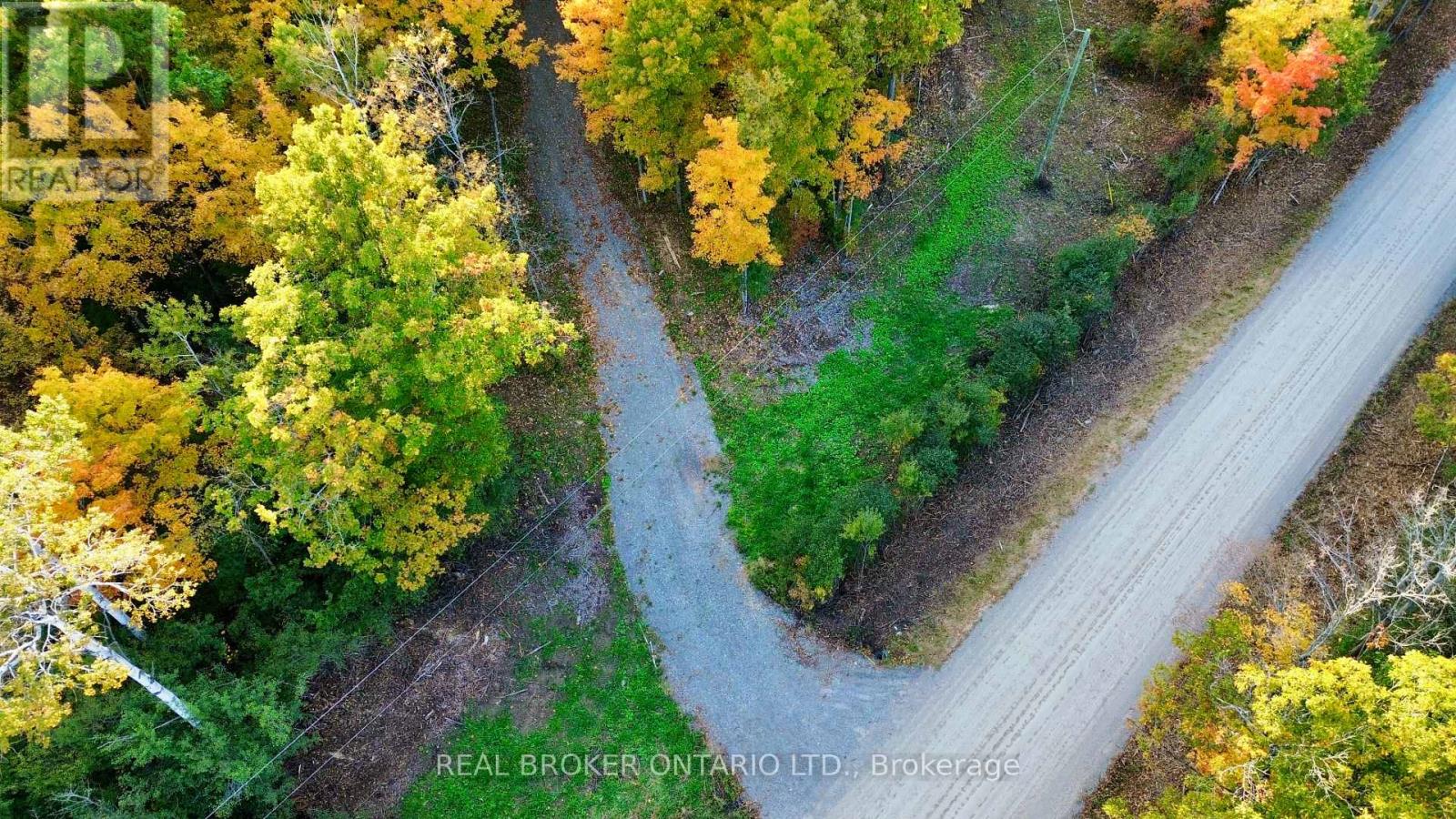 349 Burchill Road — photo 13