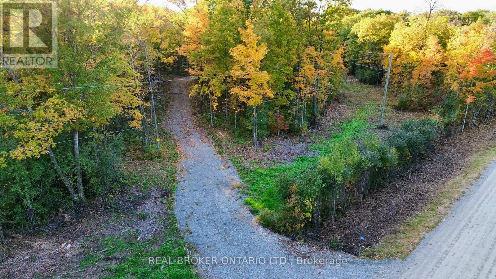 349 Burchill Road — photo 14