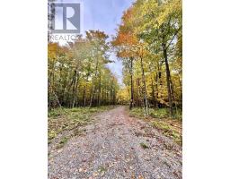 349 Burchill Road, Montague, ON K0G1N0 Photo 20