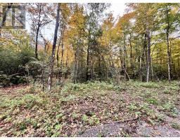 349 Burchill Road, Montague, ON K0G1N0 Photo 21