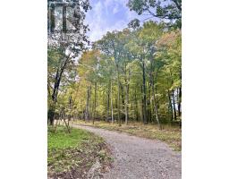 349 Burchill Road, Montague, ON K0G1N0 Photo 24