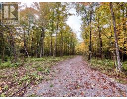 349 Burchill Road, Montague, ON K0G1N0 Photo 6