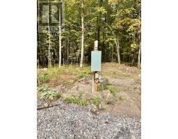 349 Burchill Road, Montague, ON K0G1N0 Photo 23