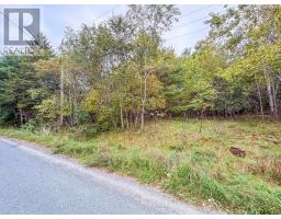 Lot 2 Martins Point Road, Martins Point, NS B0J1T0 Photo 13