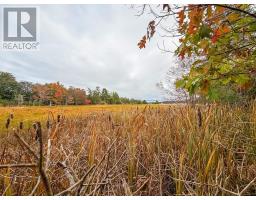 Lot 2 Martins Point Road, Martins Point, NS B0J1T0 Photo 11