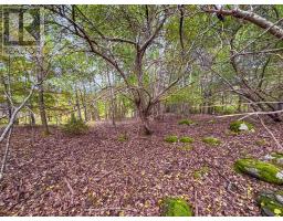 Lot 2 Martins Point Road, Martins Point, NS B0J1T0 Photo 6