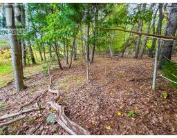 Lot 2 Martins Point Road, Martins Point, NS B0J1T0 Photo 8