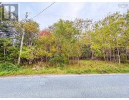 Lot 2 Martins Point Road, Martins Point, NS B0J1T0 Photo 10