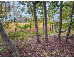 Lot 2 Martins Point Road, Martins Point, NS B0J1T0 Photo 12