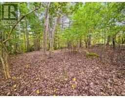 Lot 2 Martins Point Road, Martins Point, NS B0J1T0 Photo 7