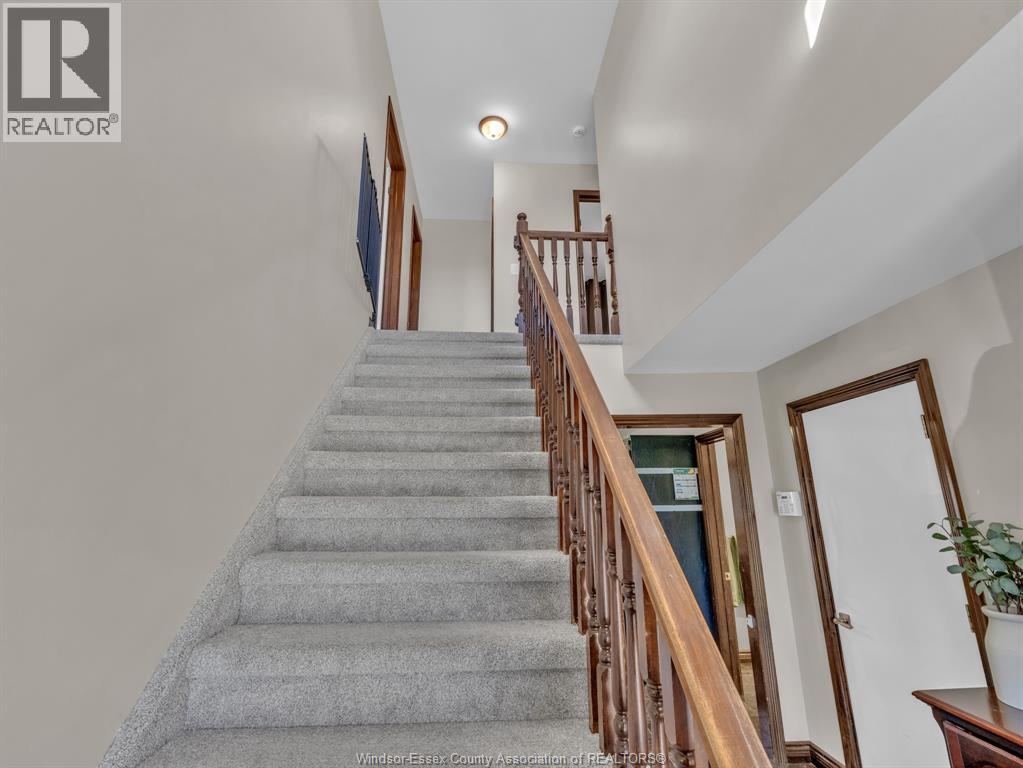 9 EVANS AVENUE - 15