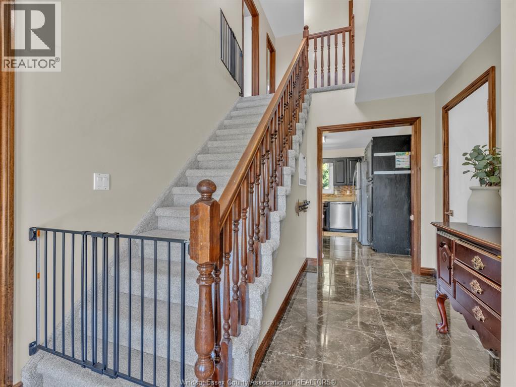 9 EVANS AVENUE - 5