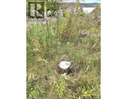 372 Highland Road, Saint John, NB E2K1R1 Photo 7