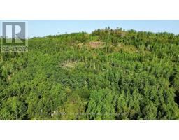 6071 Hwy 61 Highway, Neebing, ON P7L0A6 Photo 33