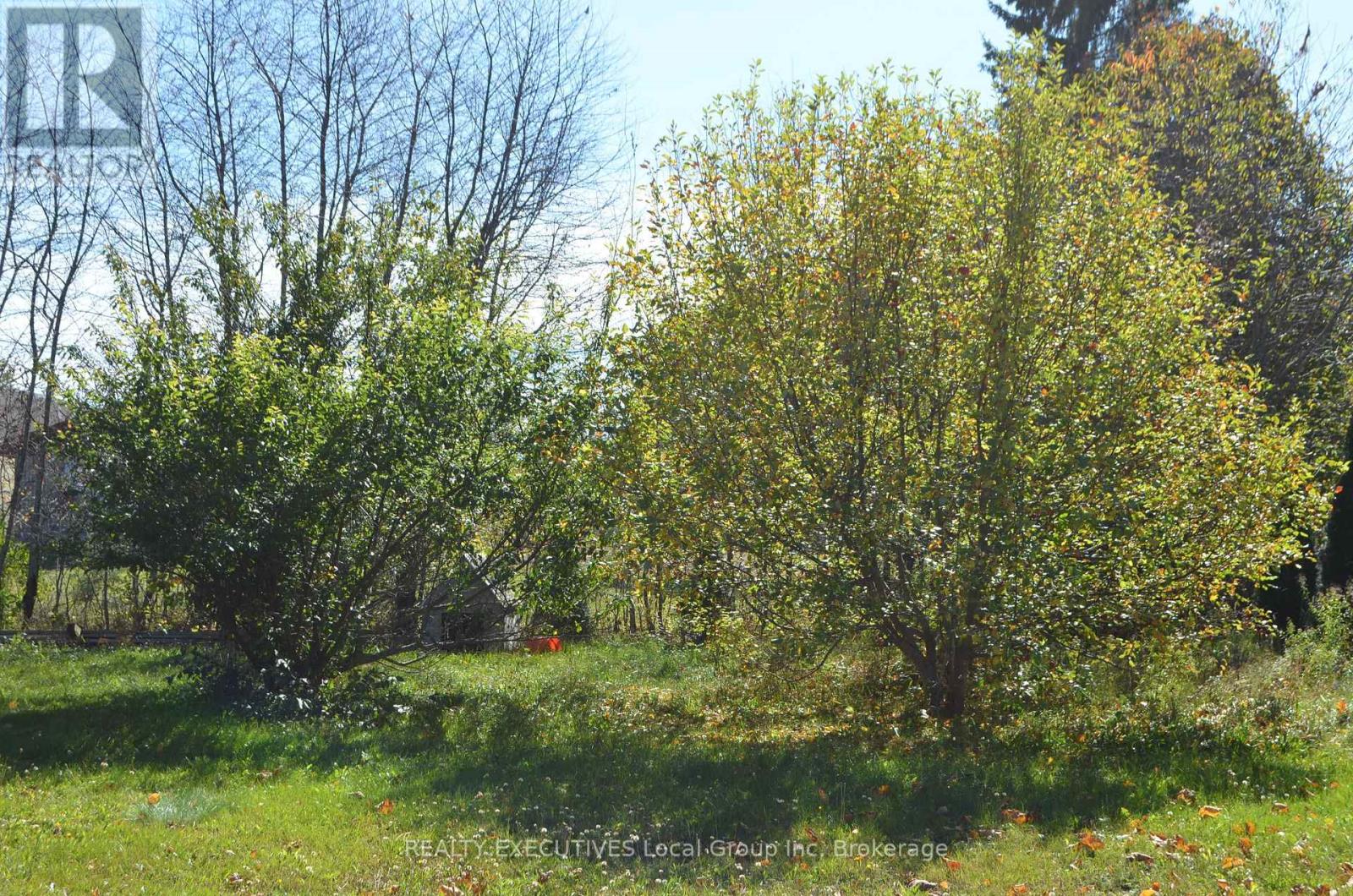125 OTTAWA AVENUE - 5
