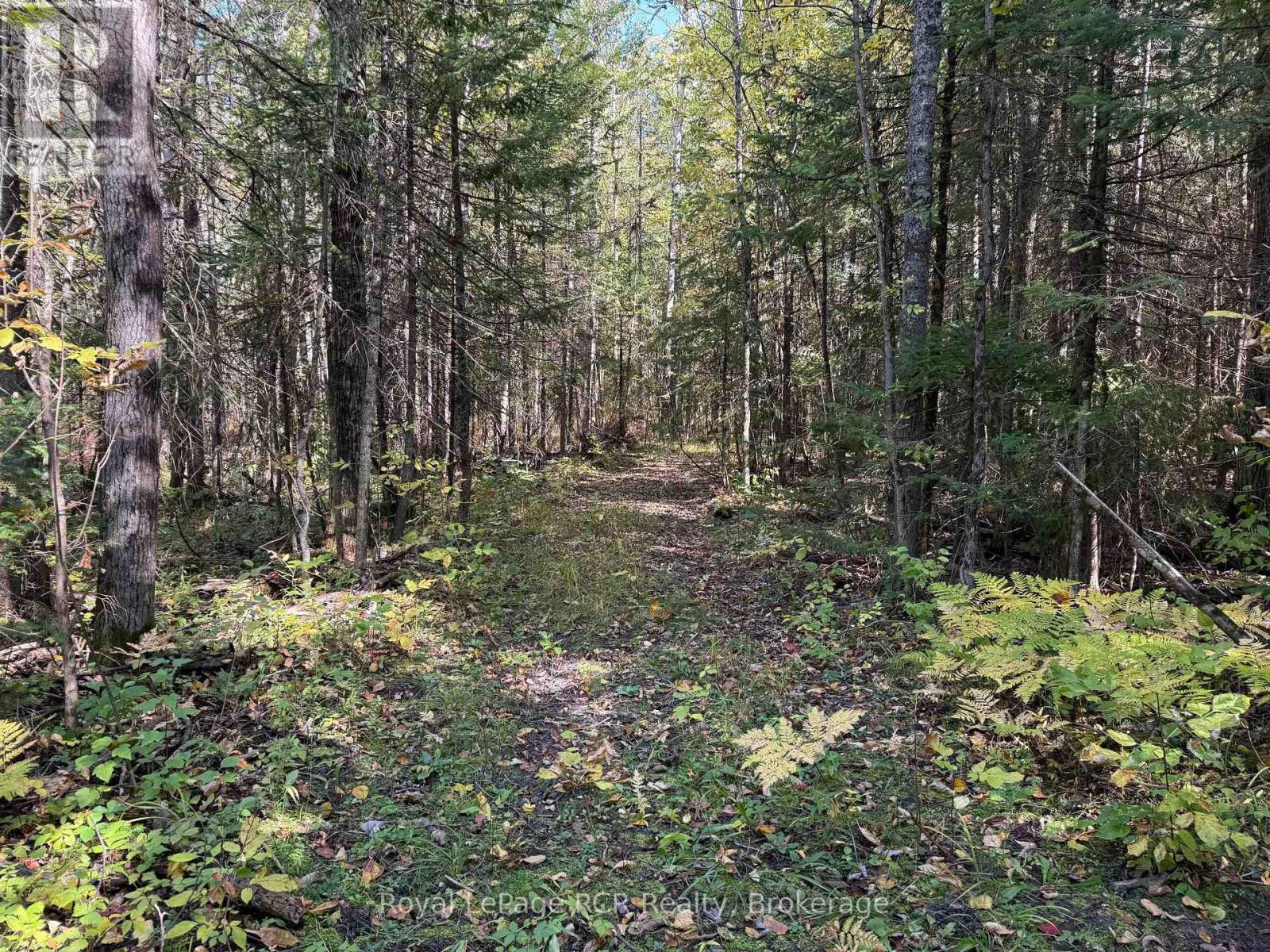 Pt Lt 1-2 Concession 3 — photo 4